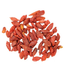 Séché Wolfberry Lycium Barbarum Goji Berry à vendre